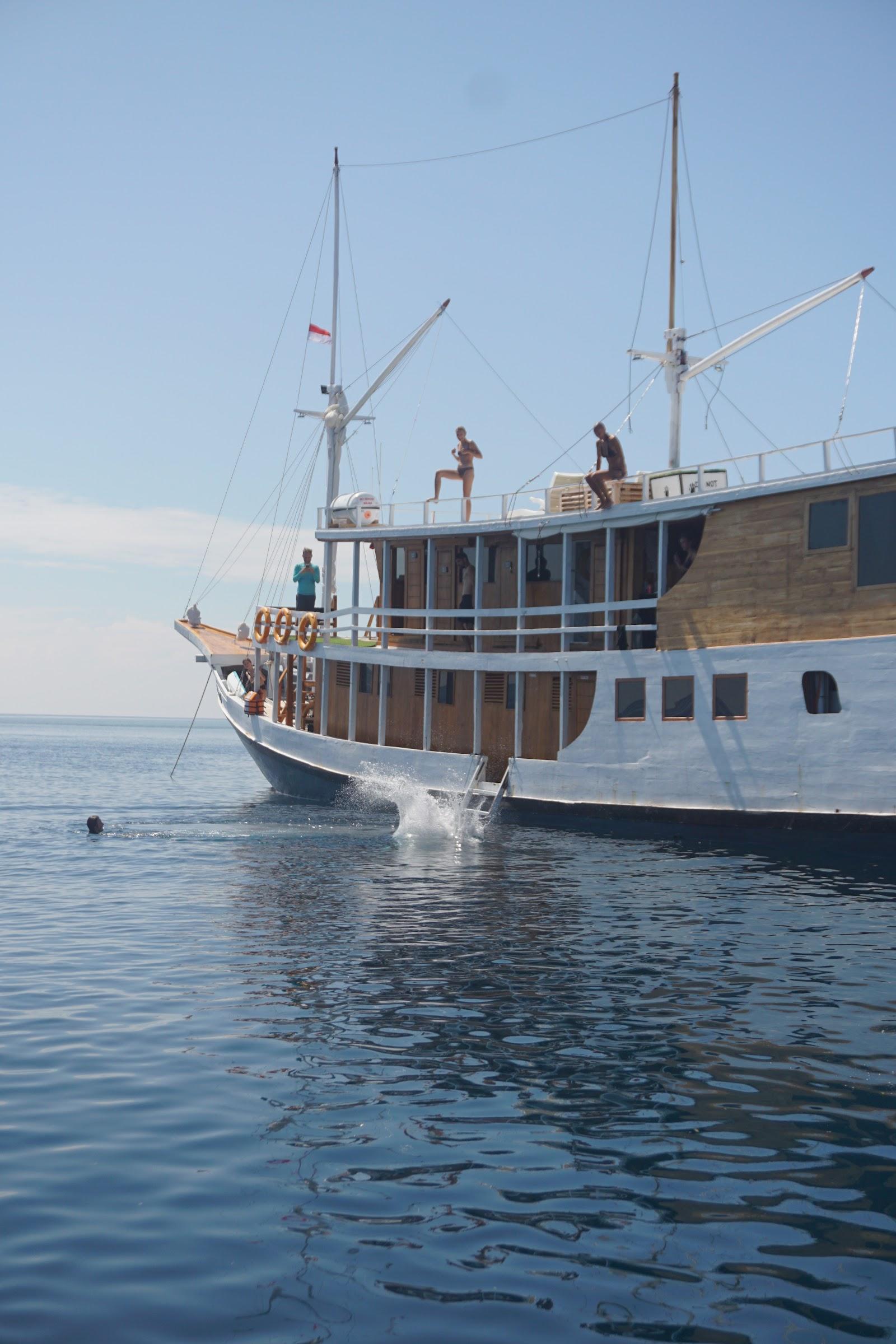 Dinara Live A Board — #Boat (image 4)