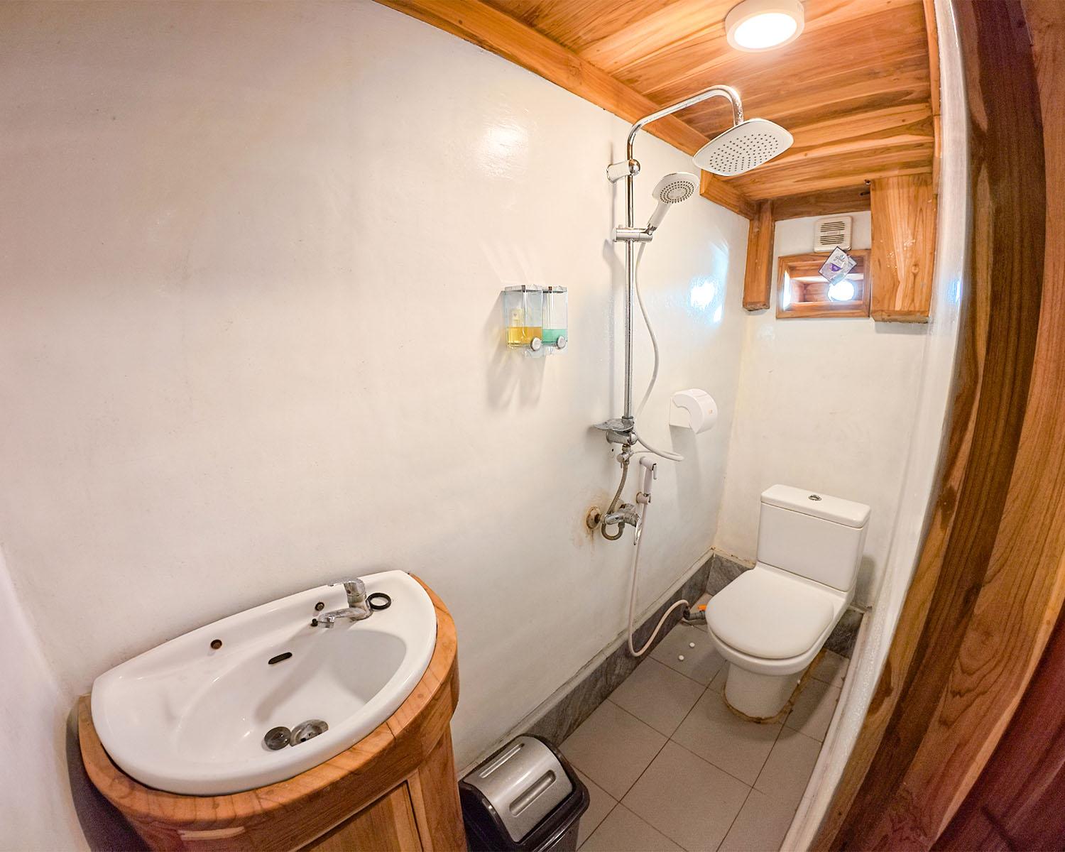 Alfathran 3 — Cabin 11 - 12 : Sumbawa Room (sharing cabin & Toilet) (image 1)