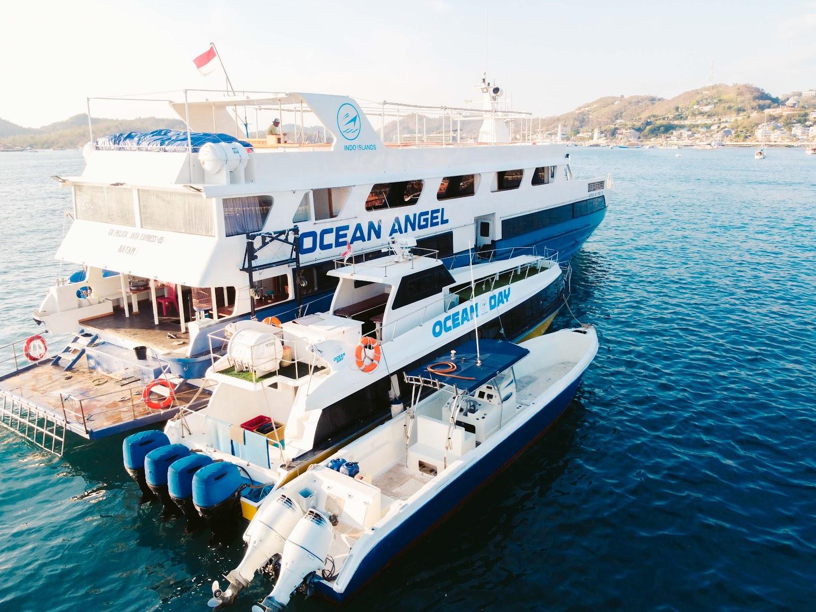 Ocean Angel — #boat (image 13)