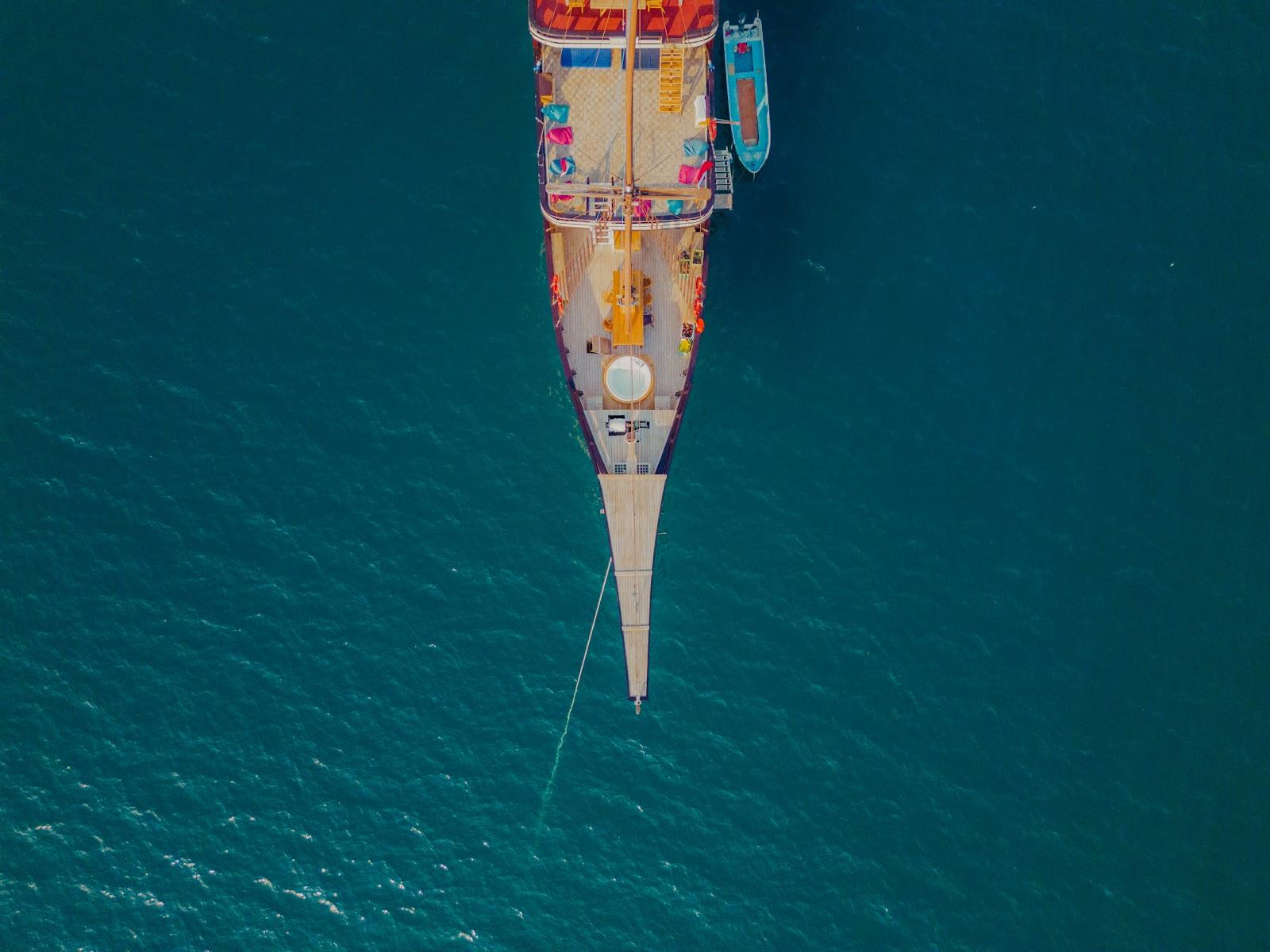 Alfathran 3 — #BOAT (image 9)