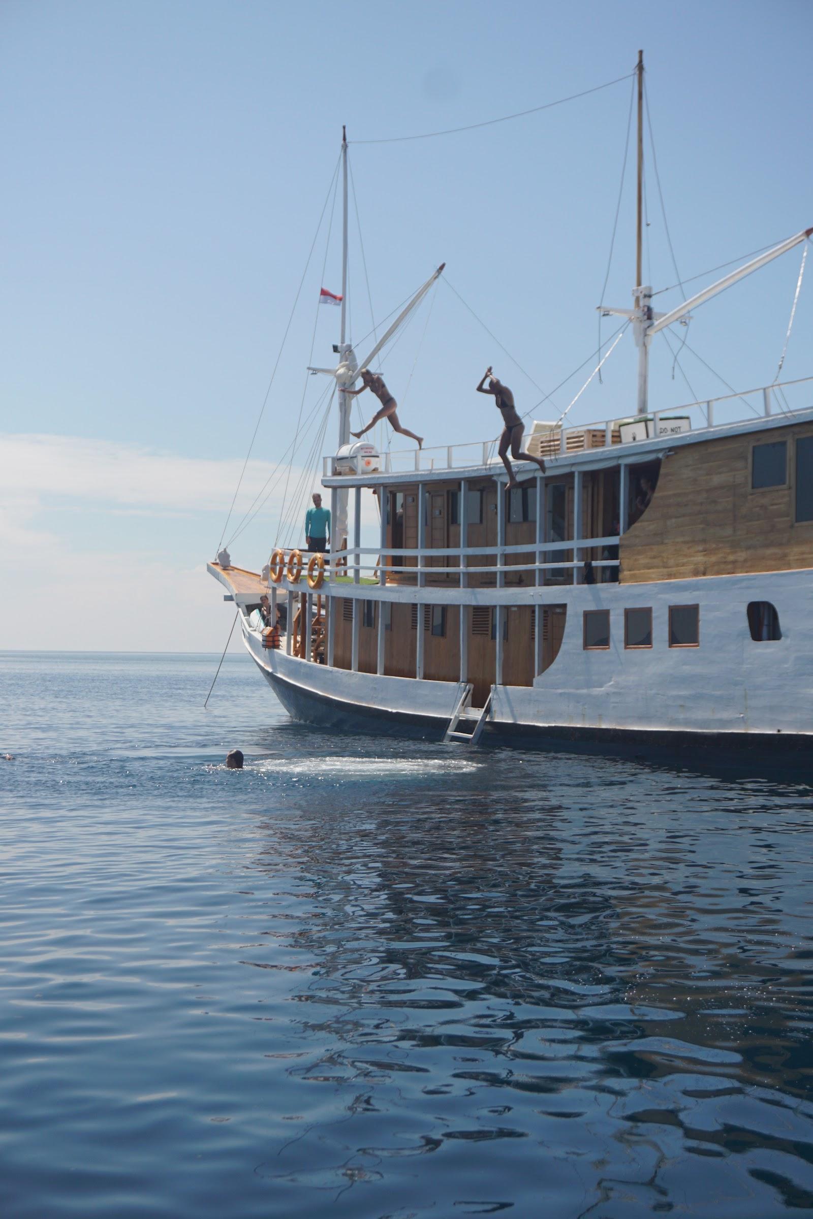 Dinara Live A Board — #Boat (image 5)