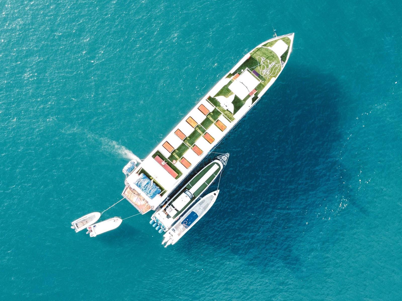 Ocean Angel — #boat (image 2)