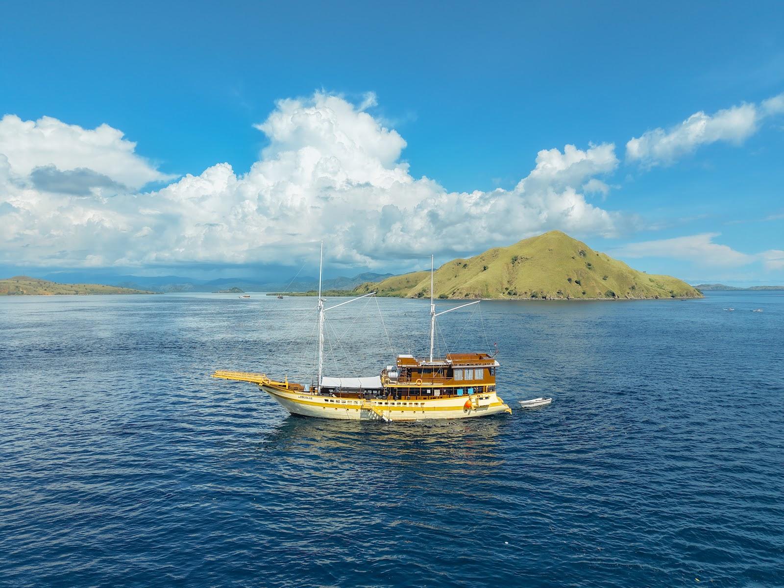 Lamborajo 2 — #BOAT (image 2)