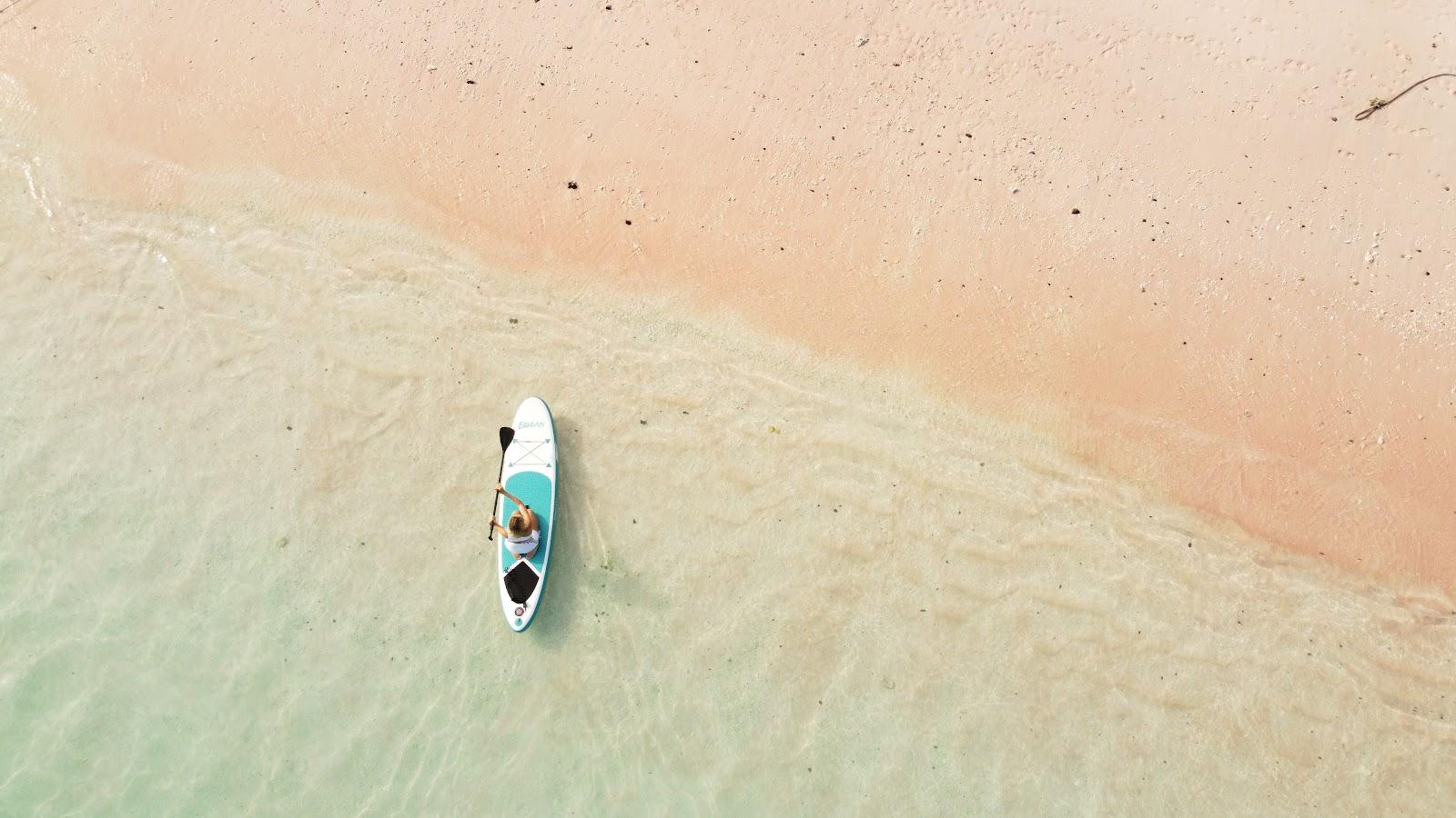 Dinara Live A Board — Canoe & Padle board (image 2)