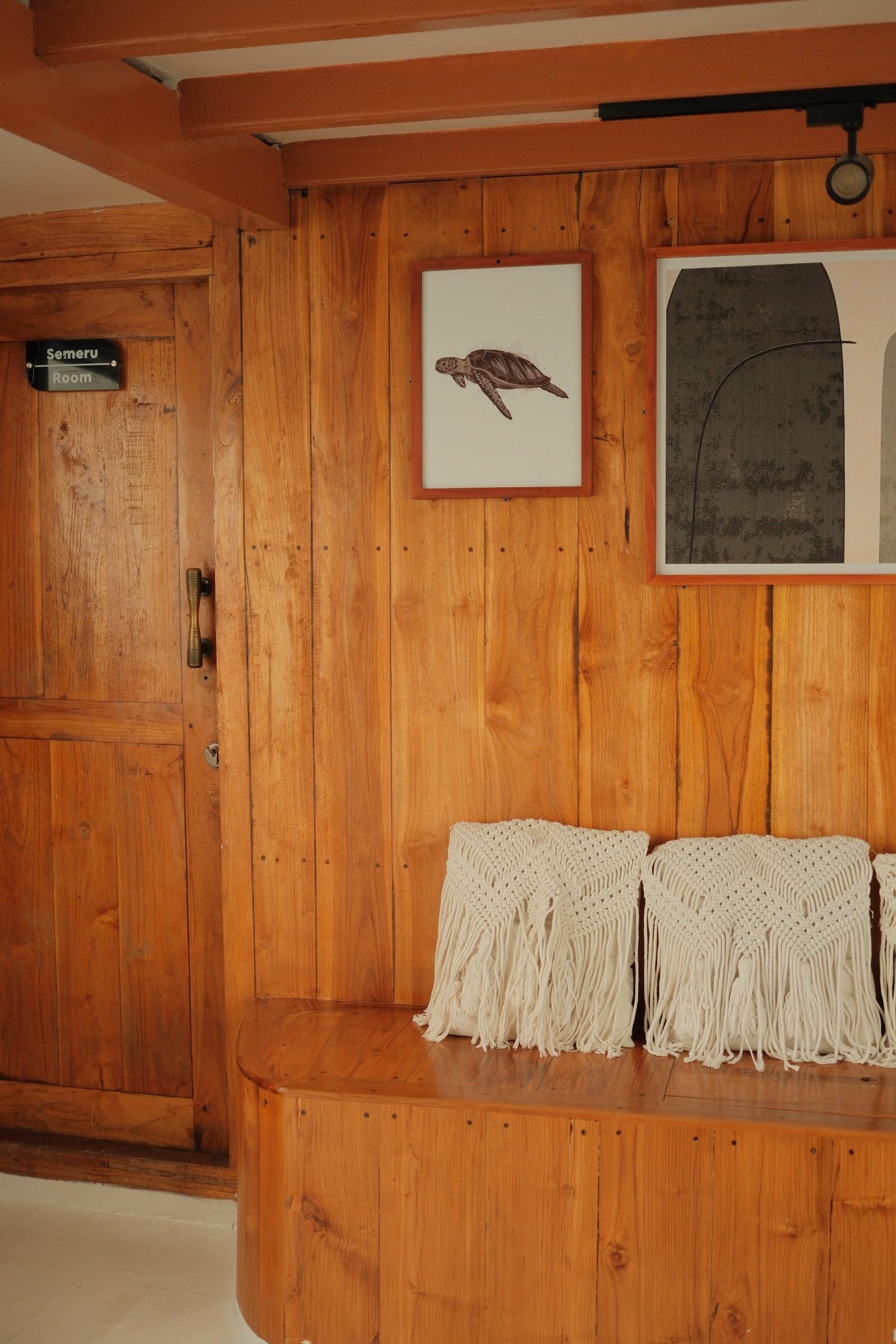 Dinara Live A Board — Entertaint room (image 11)