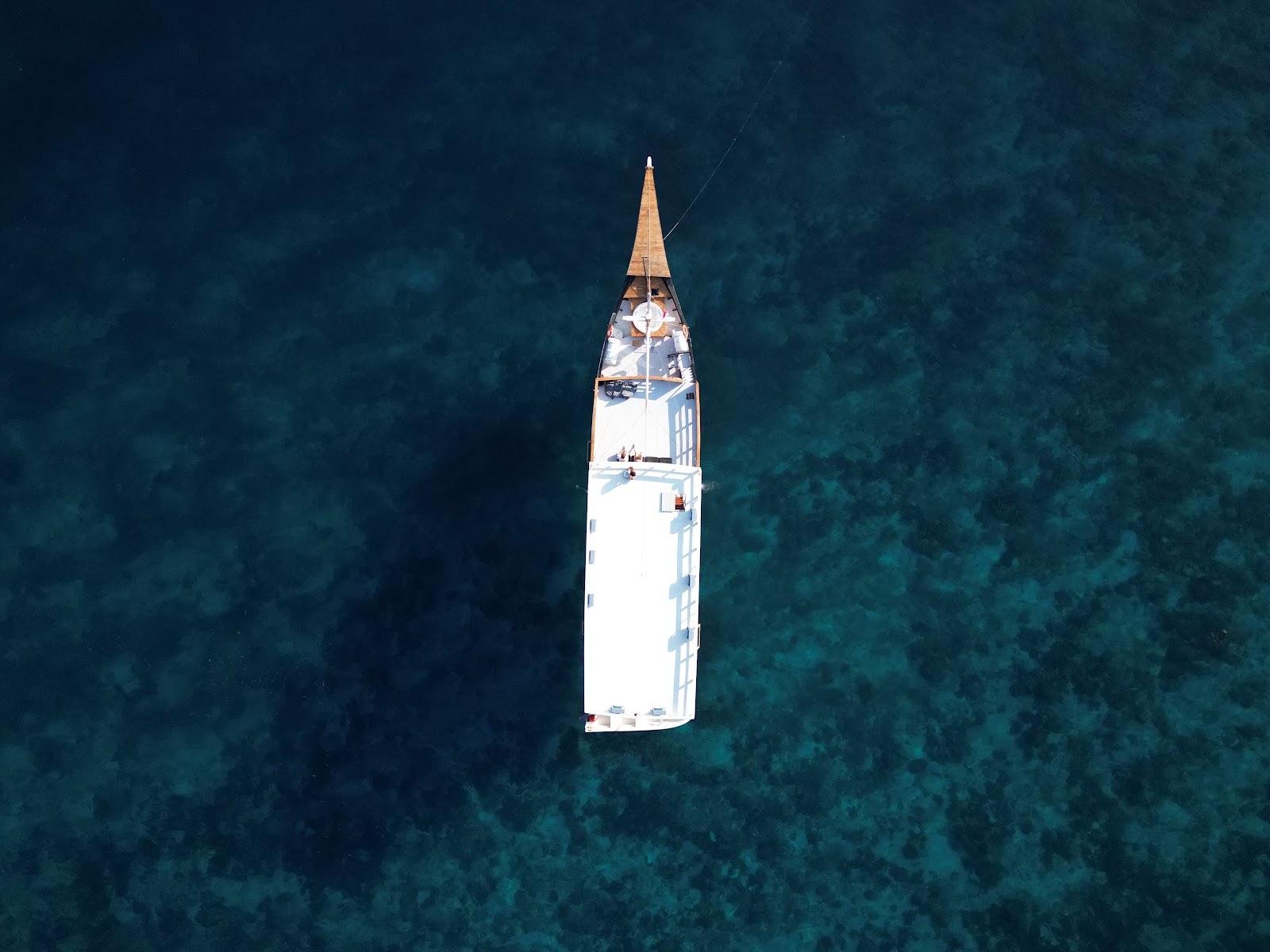 Nox — #BOAT (image 5)