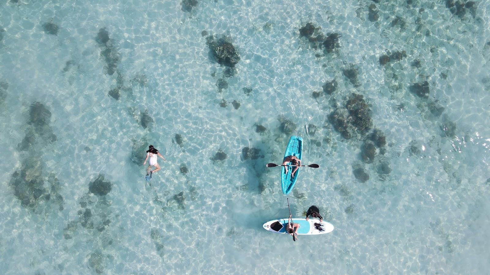 Dinara Live A Board — Canoe & Padle board (image 1)