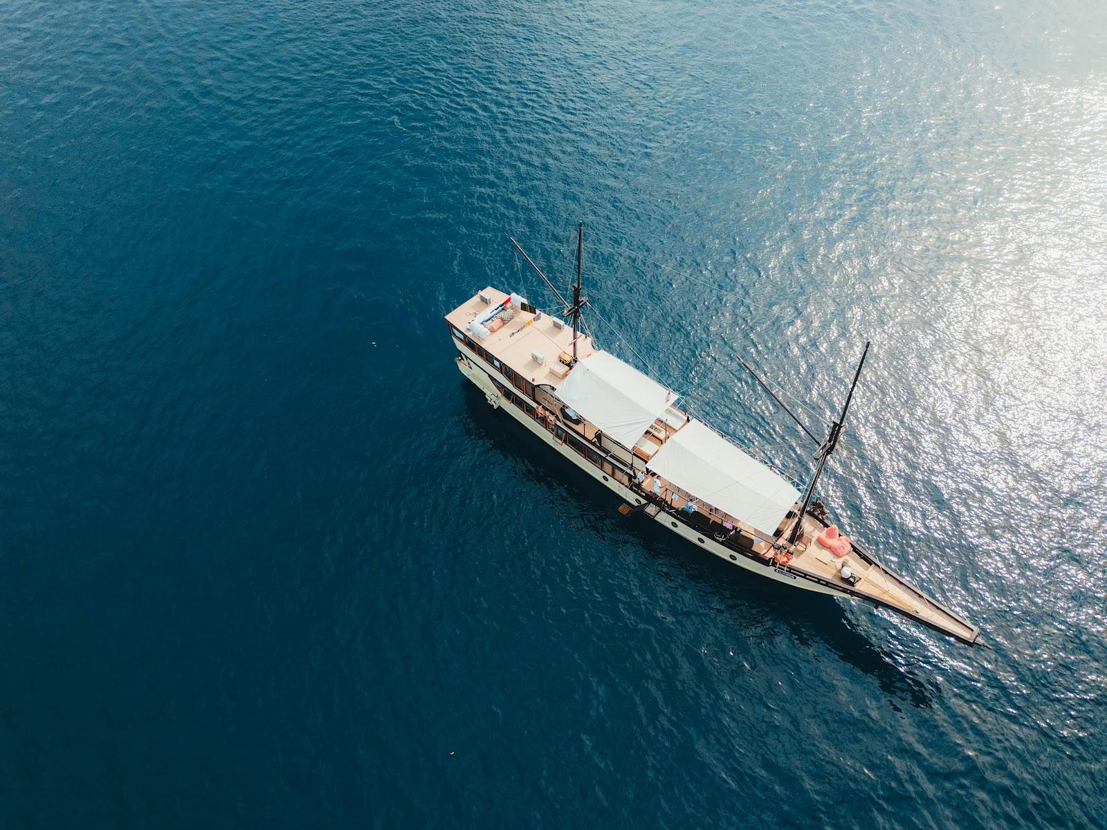 Alfathran — #BOAT (image 15)