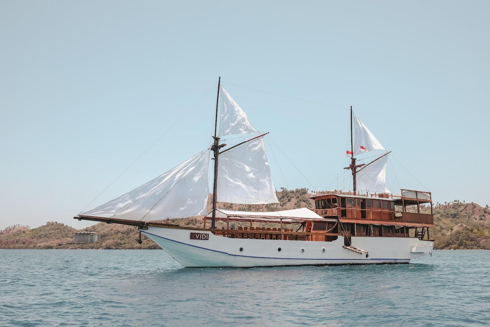 Vidi — Vidi (image 12)