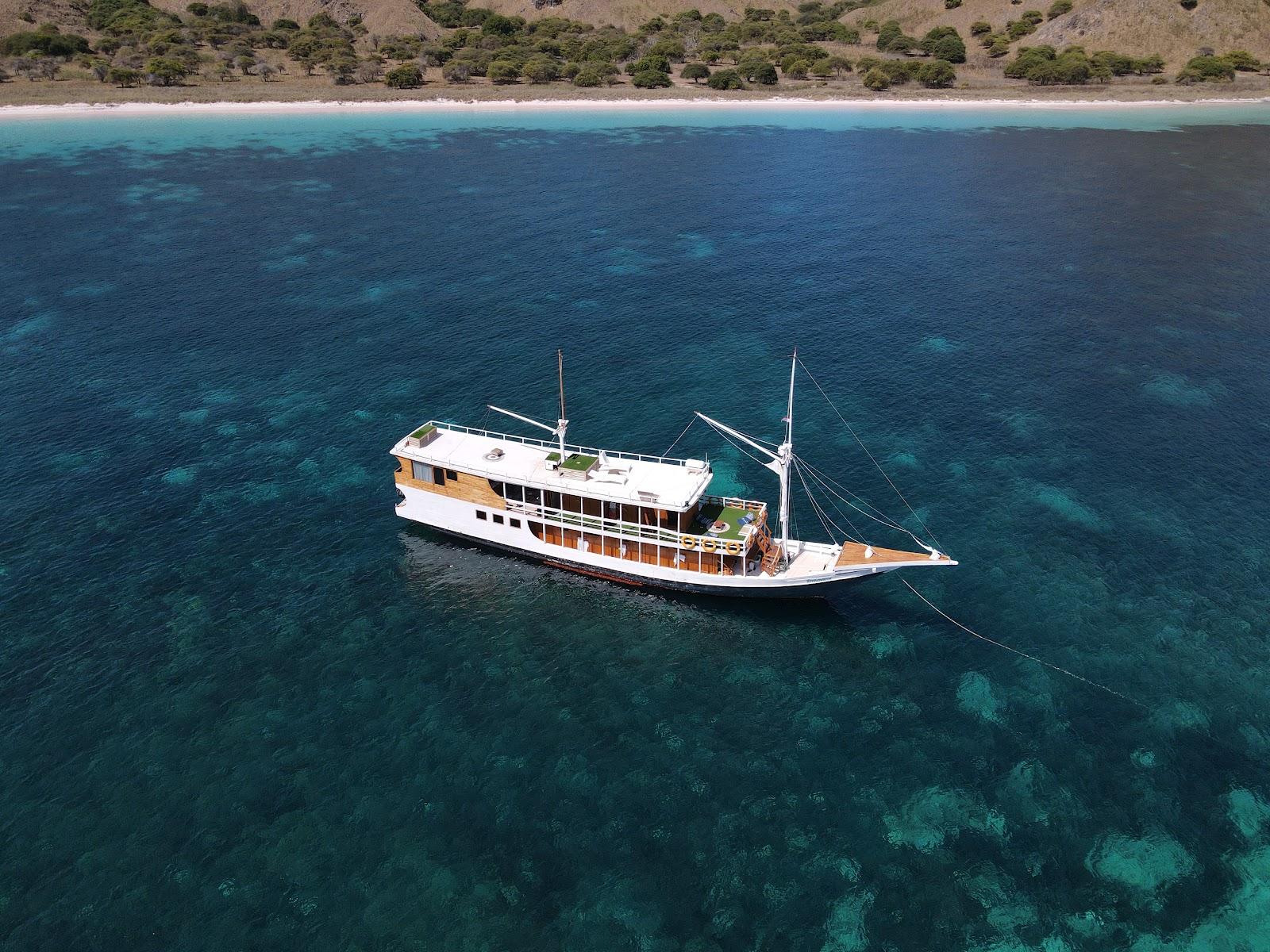 Dinara Live A Board — #Boat (image 1)