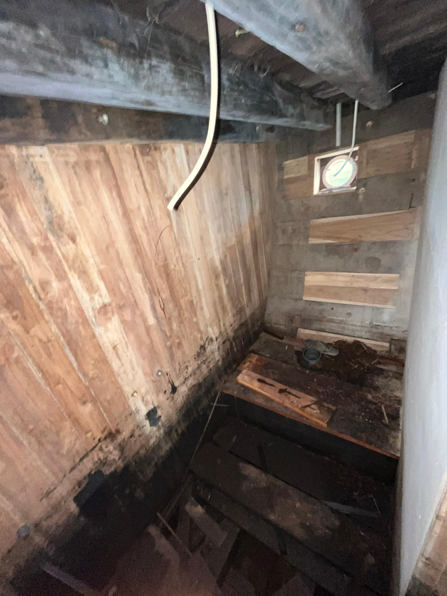 XANDARI — SUITE LOWER DECK (image 1)